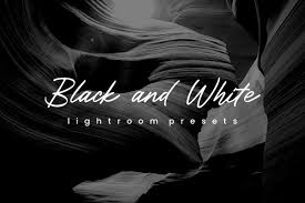 B&W creative tones free Lightroom presets