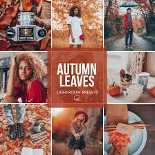 Lightroom Mobile LUTs USA: Enhance Your Autumn Leaves with Vibrant Tones