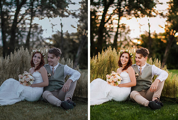 Aesthetic wedding premium free presets