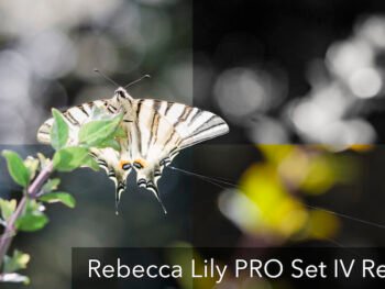 Rebecca lily pro set free presets