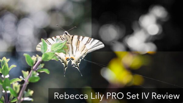 Rebecca lily pro set free presets