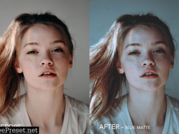 Matte effect free presets