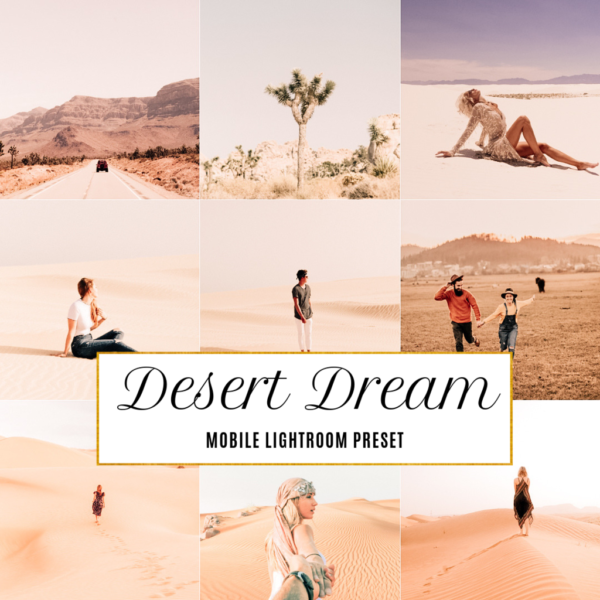 Dream Lightroom Presets for UK Summer Festivals