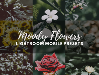 Dark Lightroom Presets Perfect for English Market Scenes