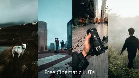 VHS LUTs free LUTs for Color Grading