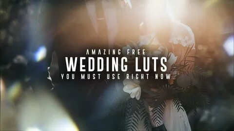 Free LUTs for British filmmakers