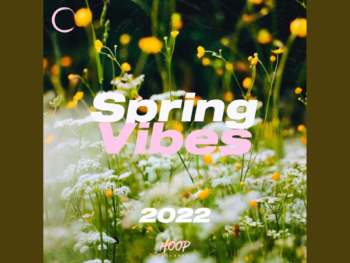 Spring Vibes Lightroom free Presets for Scottish Highlands Photos